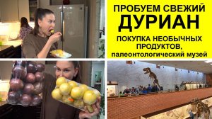 Пробуем свежий ДУРИАН 😨  Покупка необычных фруктов, поездка в палеонтологический музей.