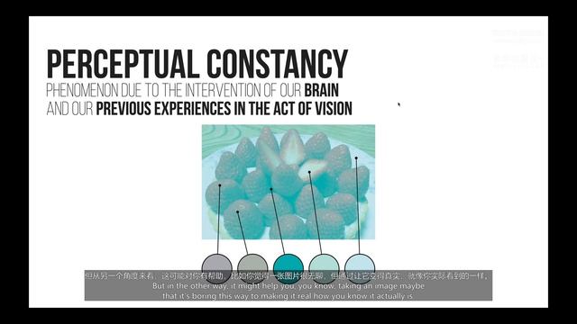 10 Perceptual Constancy смотреть онлайн