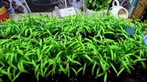 Я чуть не обалдела... Всё меня не устраивает...