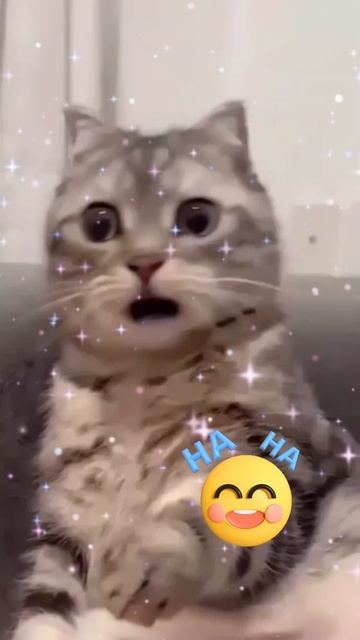 😅Юмор. Когда неожиданно пришел муж....