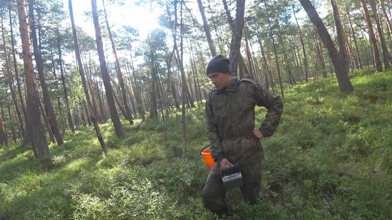 ВОТ ЭТО Я ПОНИМАЮ УРОЖАЙ ЧЕРНИКИ!!! смотреть онлайн