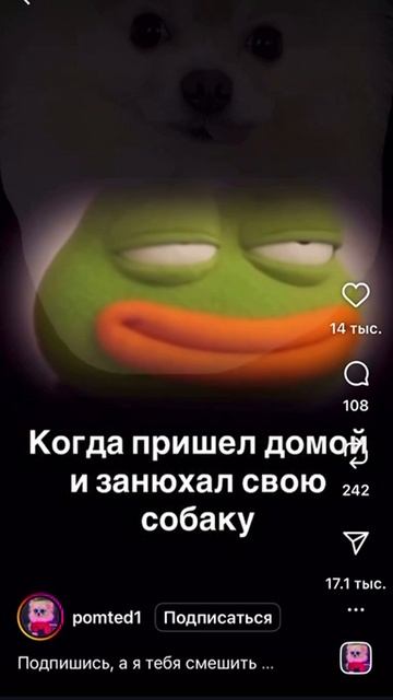 2025-10-27 09.06.06 смотреть онлайн