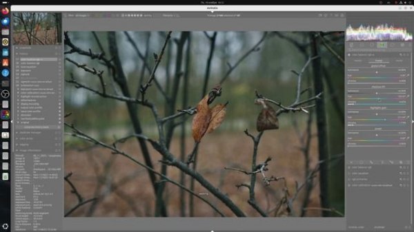 Darktable_#8_Обработка