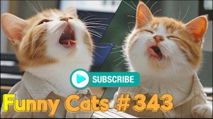 Смешные коты #343