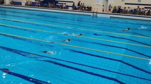 Соревнования в бассейне Строитель 09.11.25