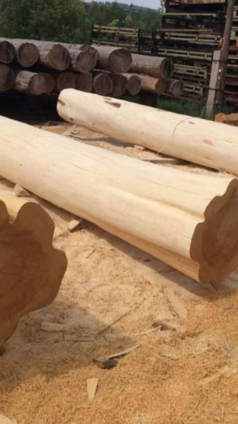 Артель плотников Дикий угол РФ  - рубим дома из толстого бревна