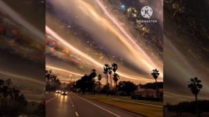 Рыжий кот ворует осень