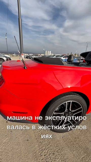 Ford Mustang в России