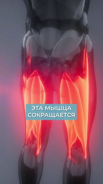 ПРОВЕРЬТЕ себя на эту ПРОБЛЕМУ с мышцами! #здоровье #походка #мышцы смотреть онлайн