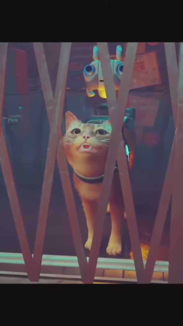 Клементина бросает нас!! 🤖🗝😿 #stray #straycat #shorts #shortvideo смотреть онлайн