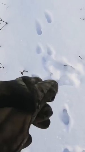 Спасибо мужик а то я запарился его искать, зайца.