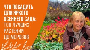 ЧТО ПОСАДИТЬ ДЛЯ ЯРКОГО ОСЕННЕГО САДА: ТОП ЛУЧШИХ РАСТЕНИЙ ДО МОРОЗОВ