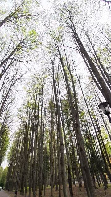 Памятник Ленину снесли 🤪 смотреть онлайн