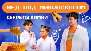 Мёд под микроскопом. Наука для детей