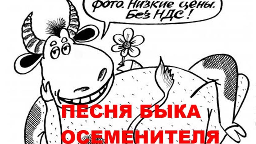 БЫК-ОСЕМЕНИТЕЛЬ смотреть онлайн