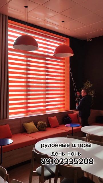 Рулонные шторы день-ночь.