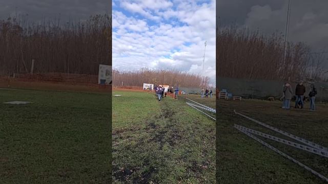 ПОДРОСТКИ СУКИ / КЧК ВОРОНЕЖ 26 октября`25 М.Волкова Моно немецких овчарок смотреть онлайн