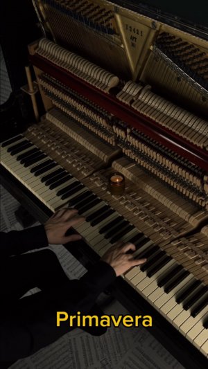 Ludovico Einaudi - Primavera😍