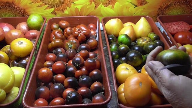 Обзор самых упорных трудолюбивых томатов 2 сентября 2021 года. смотреть онлайн