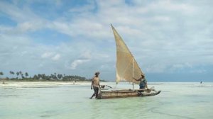 Freedom of the Ocean / Ambient music