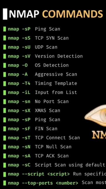 nmap tutorial for beginners смотреть онлайн