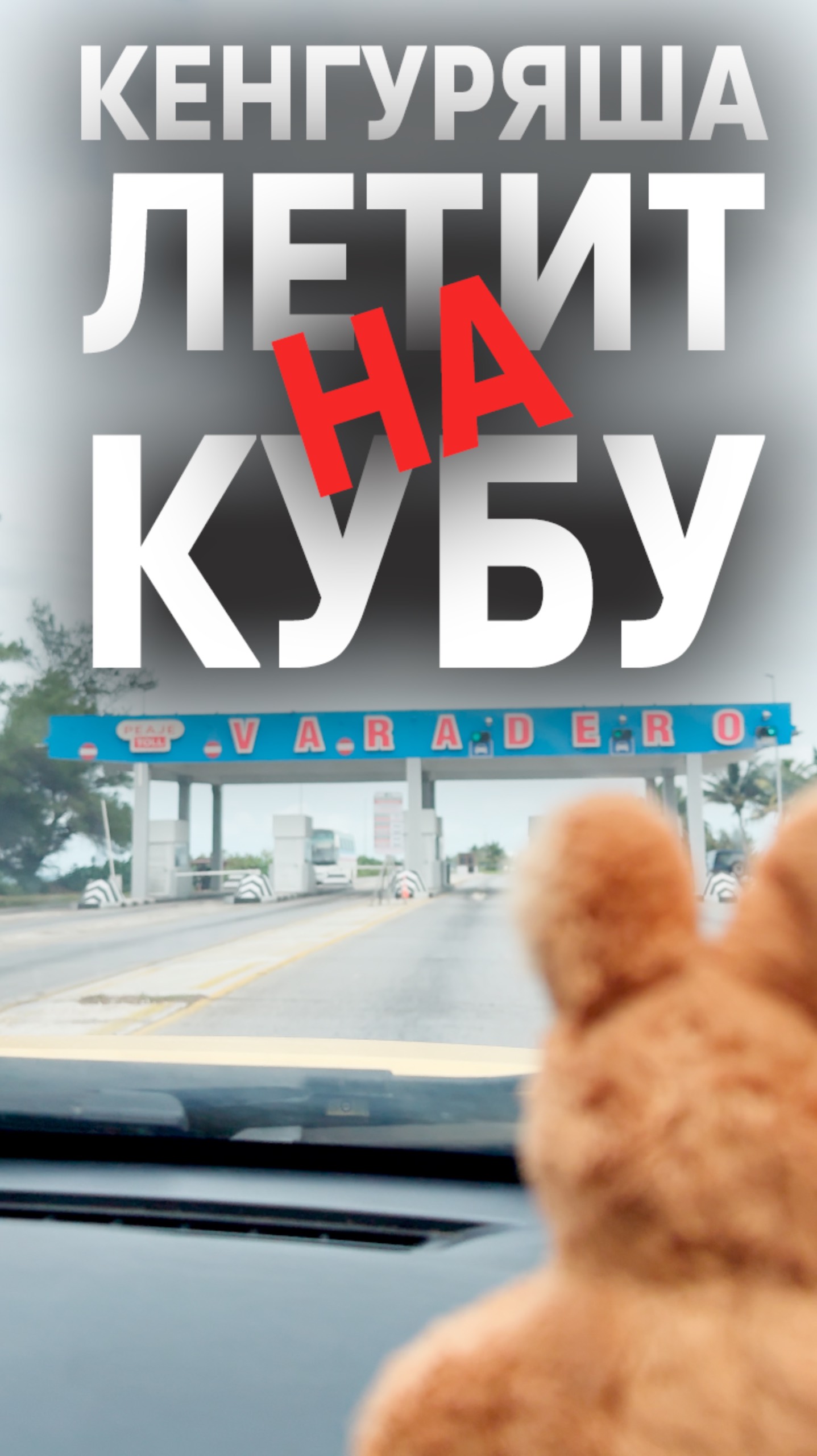 Кенгуряша летит на Варадеро 🇨🇺 #Куба смотреть онлайн