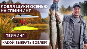 Какой воблер на щуку осенью выбрать? Кислотный vs Естественный раскрас — БАТТЛ! Ловля с берега.