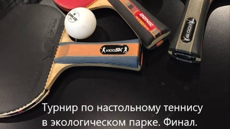 Тимур Вахитов - Андрей Дегтярев финал турнира в экологичном парке.