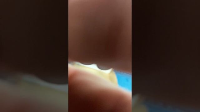 10-11-2025 смотреть онлайн