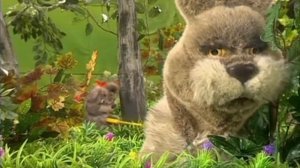 Бог делает нас сильными | Лесные истории (0+)