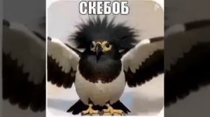 Скебоб нейросеть 1 часть