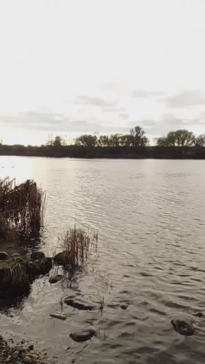 Рыбачим и отдыхаем в  Прегольском. Обзор рыбалки в Калининграде.