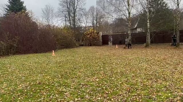 2. выражено/перв НОРМАН ДОНБАСС-МАСТЕР (Юрай Хип с Саянских Гор – Мальта) смотреть онлайн