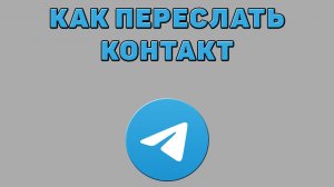 Как переслать контакт в Телеграмме