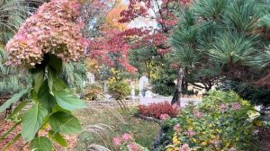 МАГИЧЕСКИЙ ОСЕННИЙ САД ПОД БОСТОНОМ  ЧАСТЬ1 (1026-1162025)