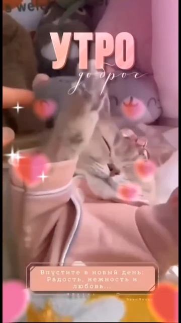 доброе утро 😊☕