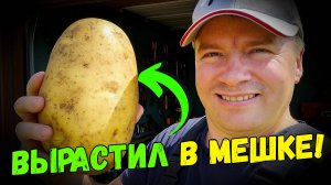 Как я вырастил картошку в мешке и получил рекордный урожай!