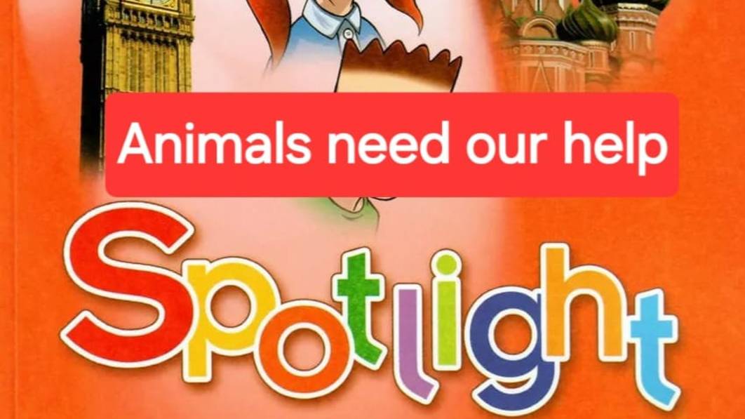 Spotlight 4 (Спотлайт 4), Учебник часть 1, Animals need our help, стр. 81. смотреть онлайн