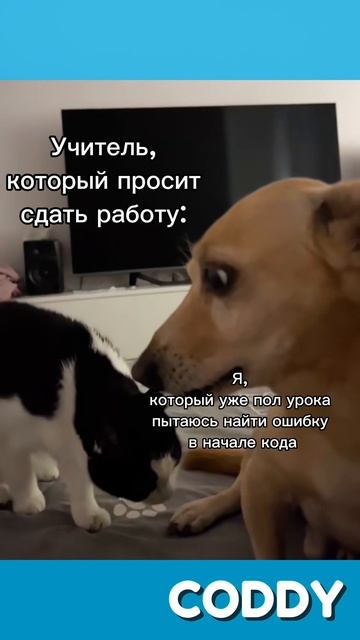 😅 А что вы делаете в такой ситуации? #мем #программирование #школа #memes #programming смотреть онлайн