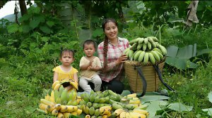 Собираю гроздья спелых бананов на продажу. Готовлю рыбу для маленькой дочери. Жизнь во Вьетнаме