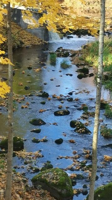 Водопад в парке Ораниенбаума. смотреть онлайн