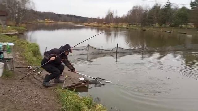 Форель2 смотреть онлайн