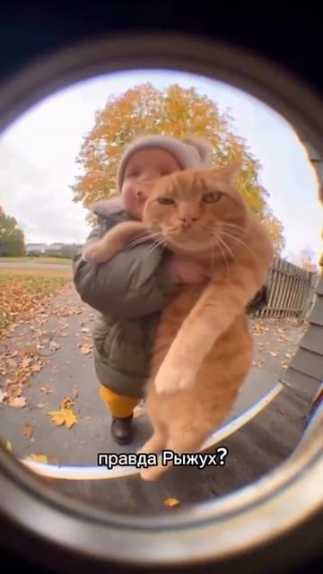 Мы нагулялись. смотреть онлайн