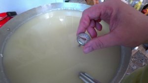 Сыр маасдам. Подробный рецепт