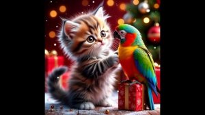 Забавные котята Новогоднее #видео про котят#