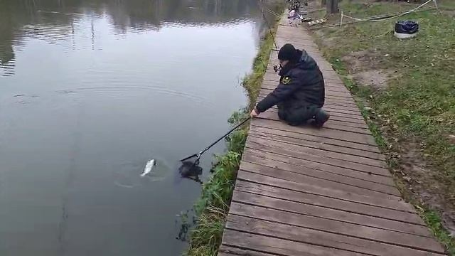 Основной блесна смотреть онлайн