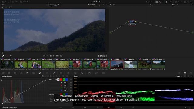 3 Greens Memory Colors смотреть онлайн