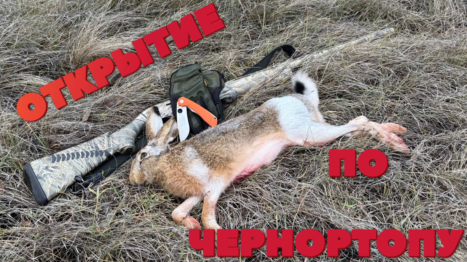 ОХОТА НА ЗАЙЦА ПО ЧЕРНОТРОПУ смотреть онлайн