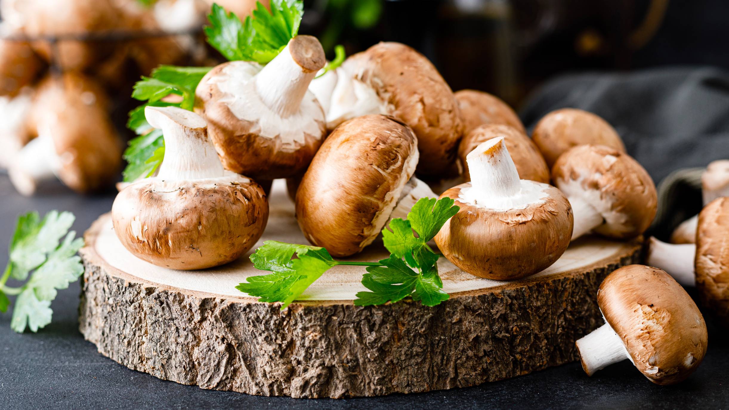 Mushrooms On Your Table 3