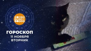 Гороскоп на 11 ноября. Доброе утро. Фрагмент выпуска от 11.11.2025